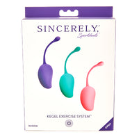 box with 3 single kegel toys with tails in different colors
