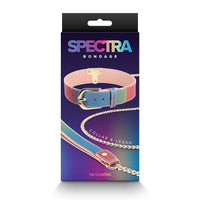box with picture of rainbow collar with gold chain leash