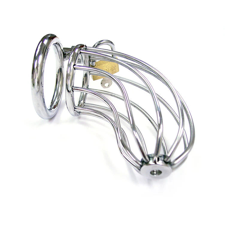 Metal chastity cage with padlock on a white background