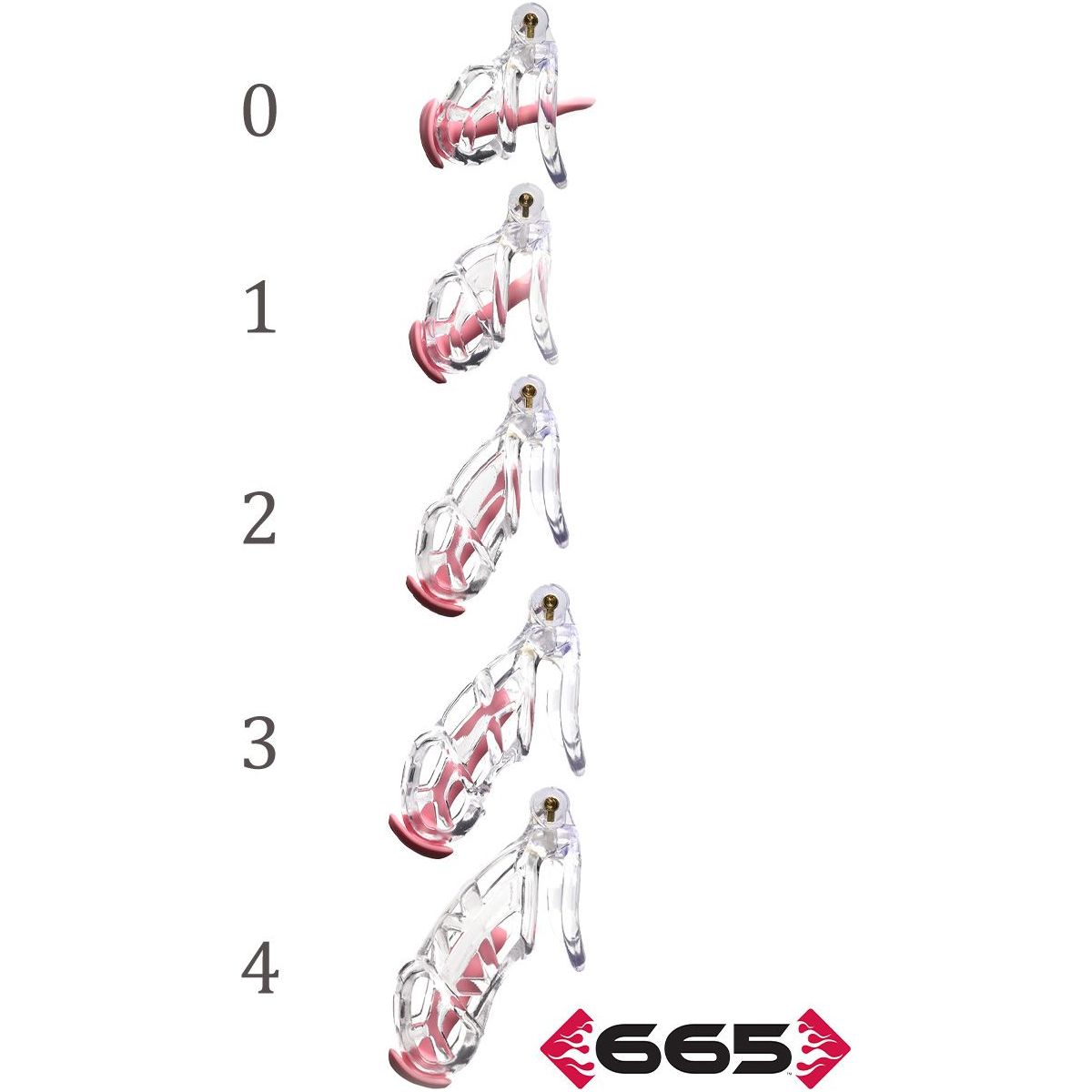 Set of clear and pink plastic chastity cages with measurement markings on a white background, featuring the brand '665'.