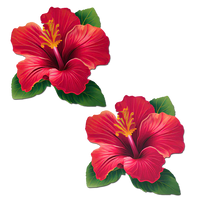 Two red hibiscus flowers with green leaves on a white background
