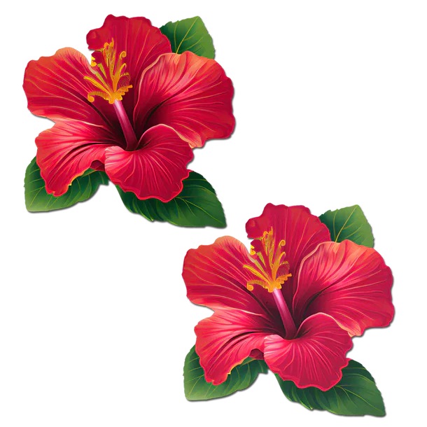 Two red hibiscus flowers with green leaves on a white background