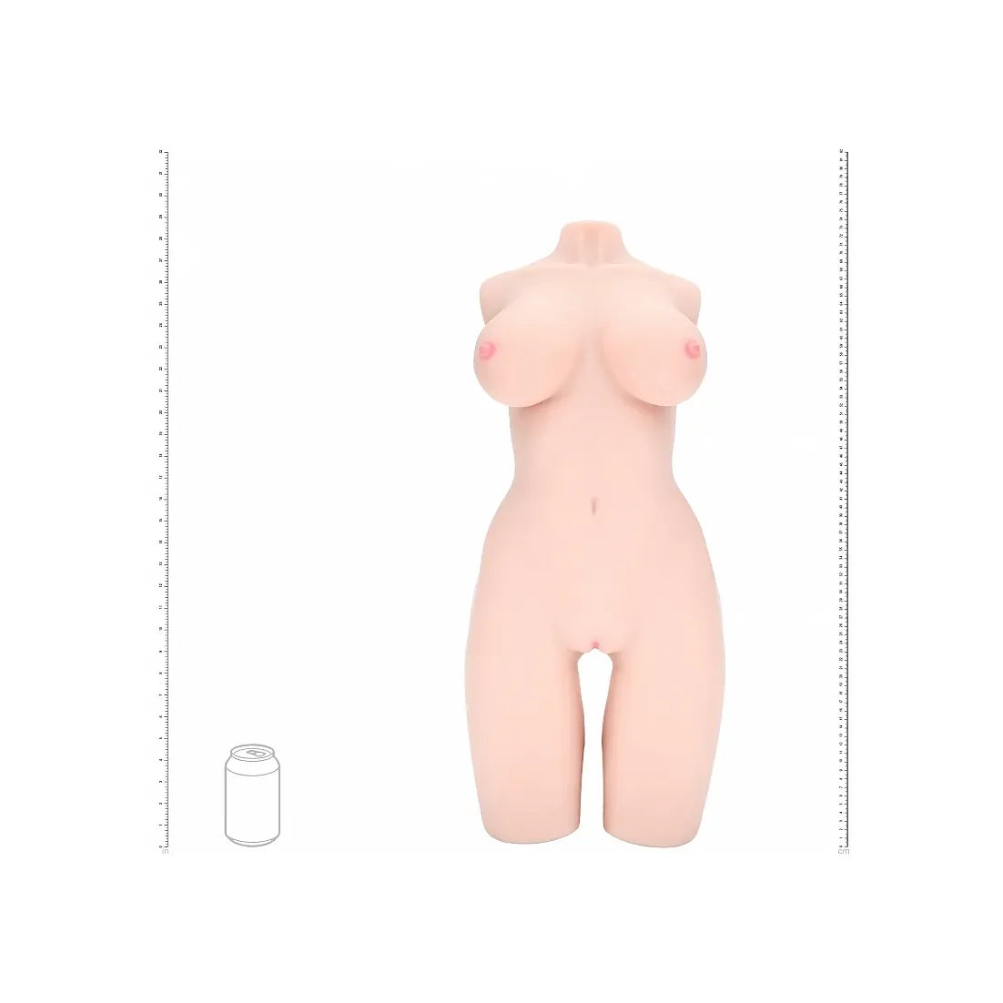 A realistic silicone female torso mannequin with realistic skin texture, shown against a white background with measurement rulers on the sides and a small scale graphic.