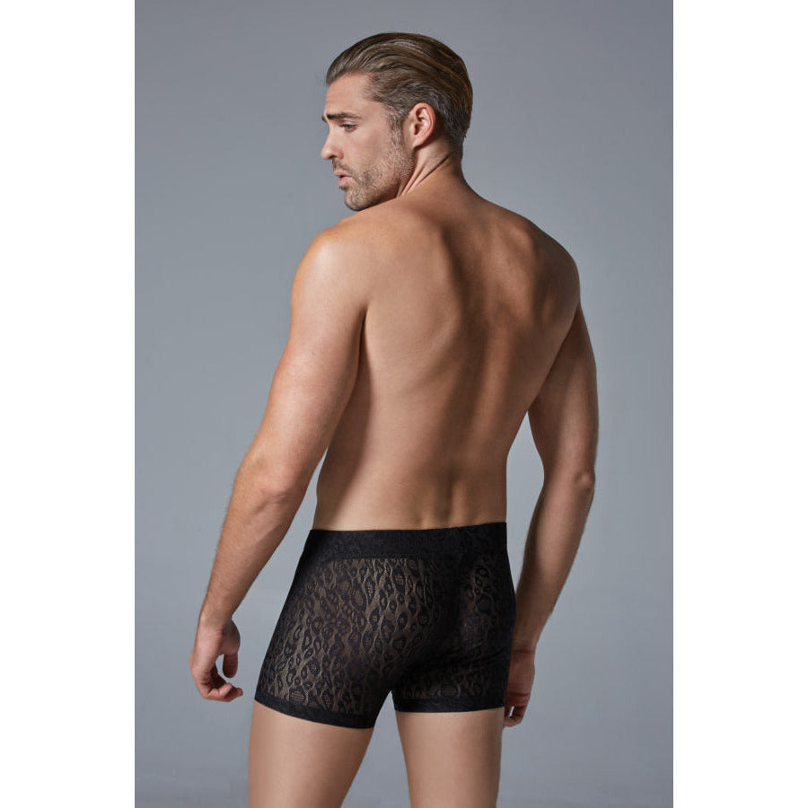 Luca Leopard Men's Shorts by Allure Lingerie