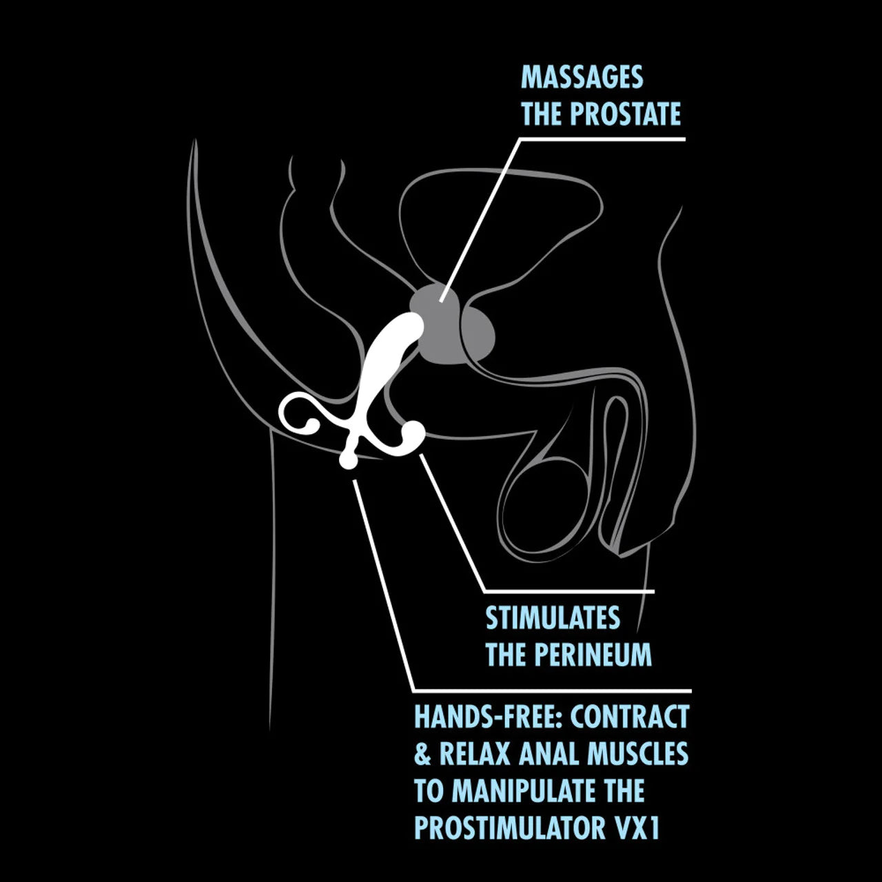 anal prostate massager shown on a how to use diagram